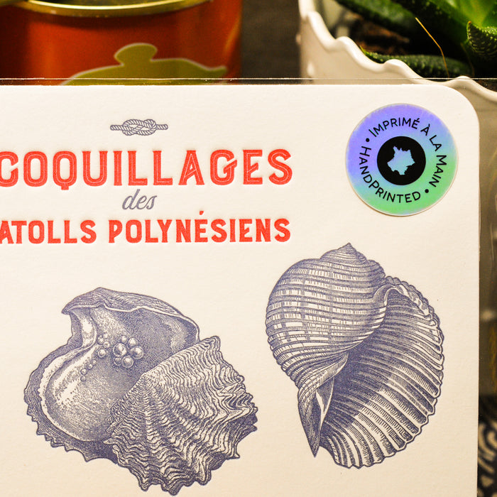 Carte Letterpress Coquillages des Atolls Polynésiens